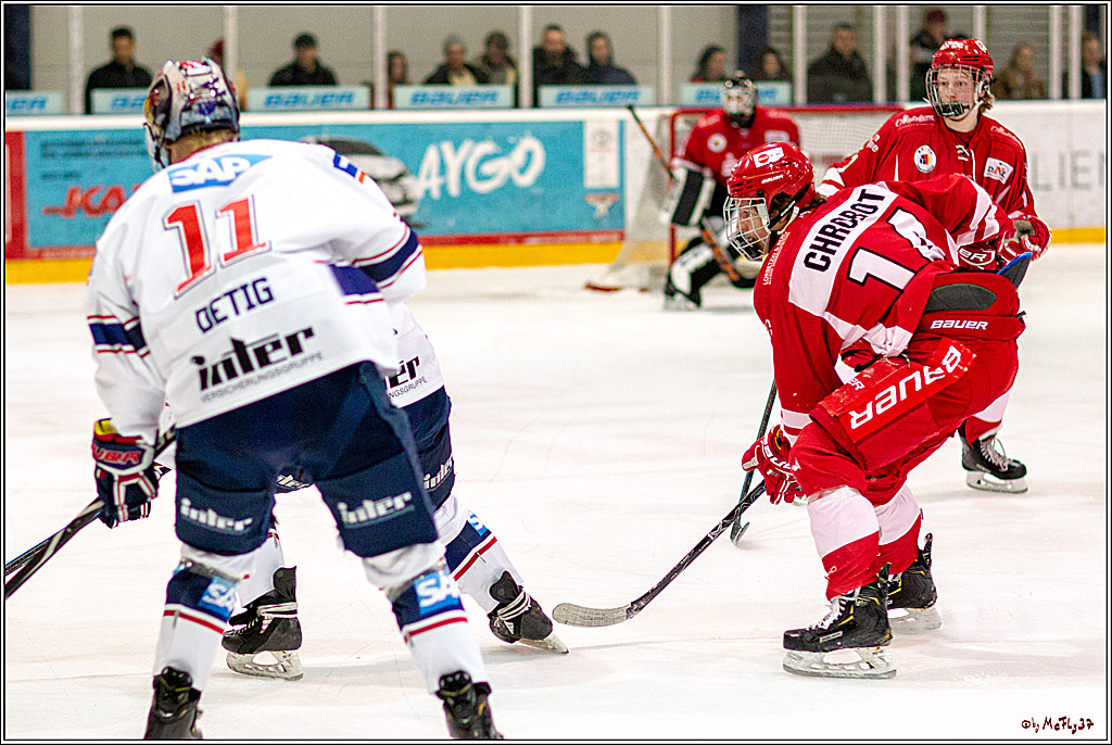 DNL-Playofffinale; Junghaie Koeln - Jungadler Mannheim, 20.03.2019